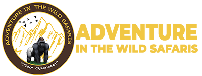 Gorilla Trekking Uganda